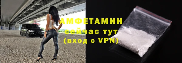 дживик Инта