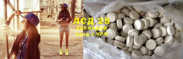 дживик Инта