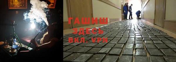 дживик Инта