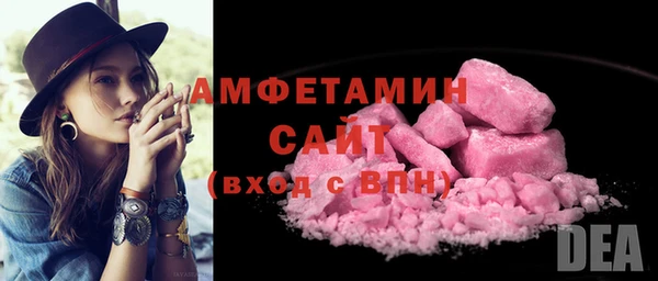 дживик Инта