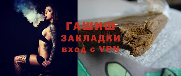 дживик Инта