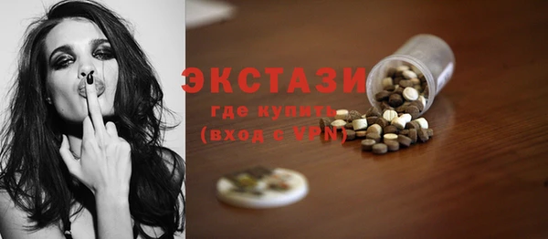 дживик Инта