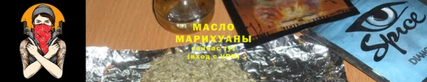 дживик Инта