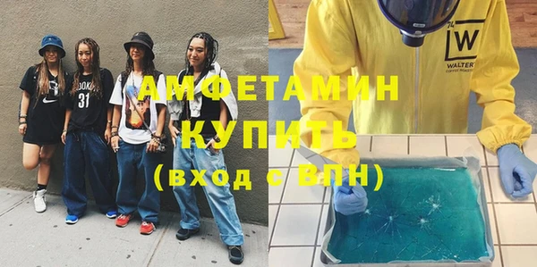 дживик Инта