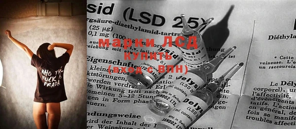 дживик Инта