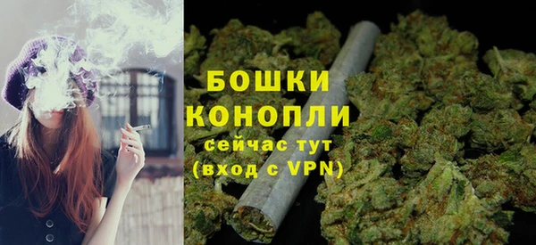 дживик Инта