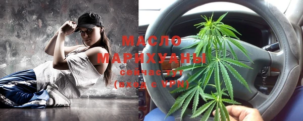 дживик Инта