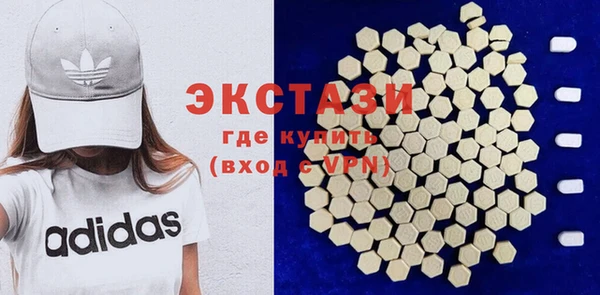 дживик Инта