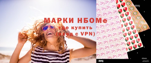 дживик Инта