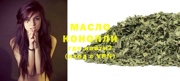 дживик Инта