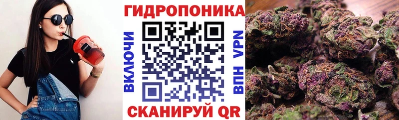 Купить закладки  Новохопёрск  Каннабис семена 
